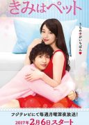 kimi-wa-petto