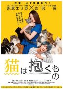 Holding The Cat in Arms (2018)