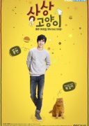 Imaginary Cat (2015)