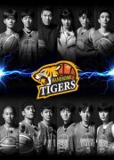 Handsome Tigers (2020)